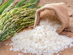 Indonesia Akan Ekspor 2.000 Ton Beras Per Bulan ke Malaysia