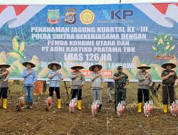 Kapolda Sultra bersama Manajemen PT AKP Lakukan Penanaman Jagung Kuartal III 2025