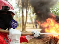 Sultra Dapat Tambahan 27 Unit Mesin Alkon untuk Hadapi Ancaman Kekeringan